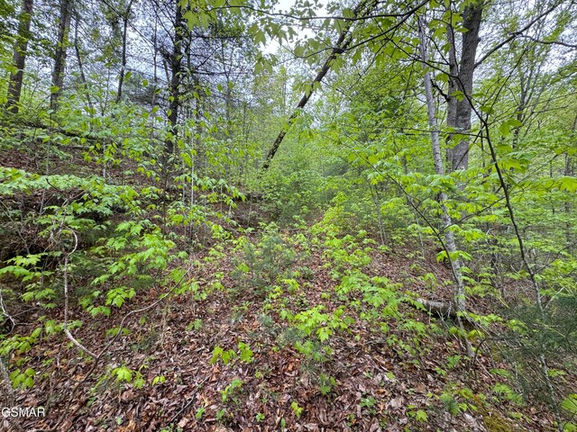 376 Summer House Hollow Rd, Del Rio, TN 37727