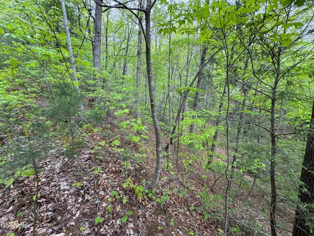376 Summer House Hollow Rd, Del Rio, TN 37727