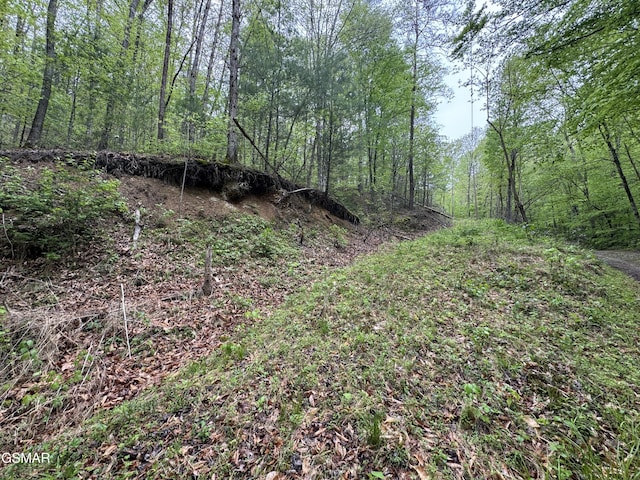 376 Summer House Hollow Rd, Del Rio, TN 37727