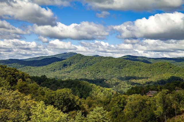 view of mountain feature