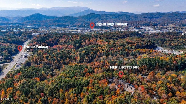 drone / aerial view featuring a mountain view