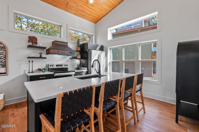 kitchen with sink, wooden ceiling, stainless steel appliances, premium range hood, and vaulted ceiling