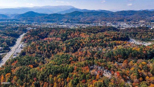 view of mountain feature