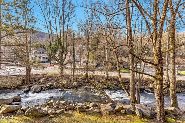 210 Roaring Fork Ext Unit 102, Gatlinburg, TN 37738 - water view with a mountain backdrop