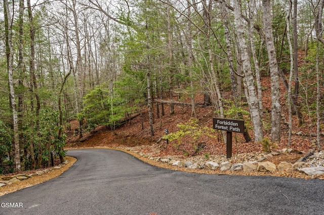 view of road with a forest view