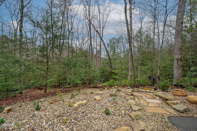 view of yard with a view of trees