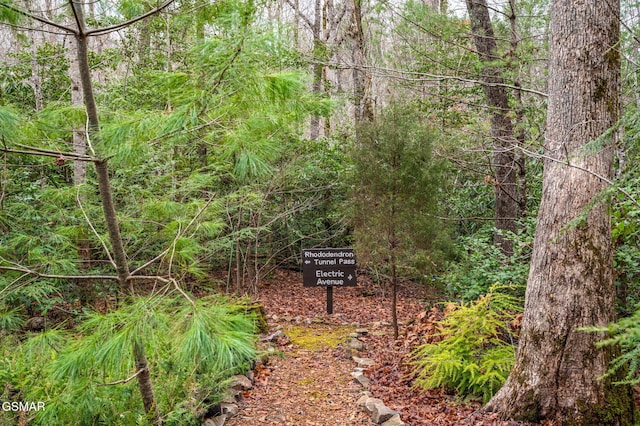 exterior space featuring a view of trees