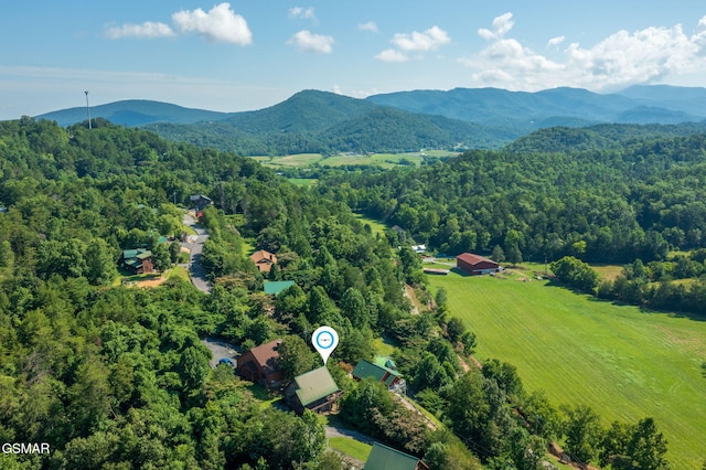1482 Red Cedar Ln Unit 64, Sevierville, TN 37876 - bird's eye view of a heavily wooded area and a mountain backdrop