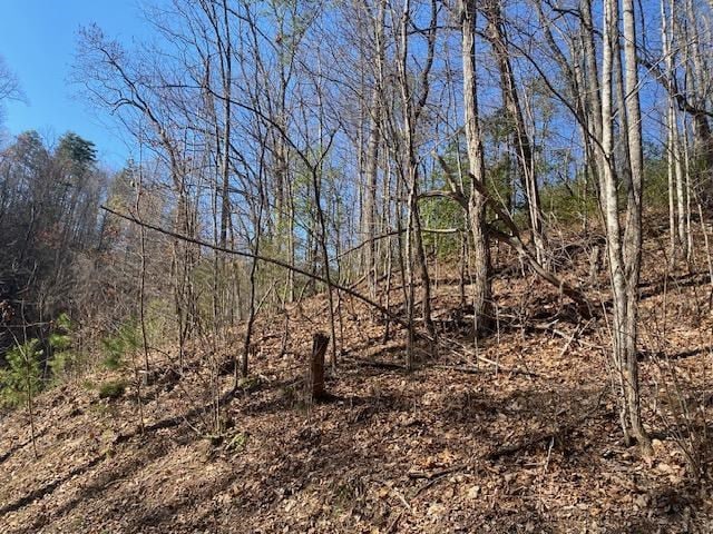 Listing photo 2 for LOT1765R Red Bud Rd, Sevierville TN 37876