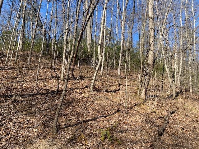 LOT1765R Red Bud Rd, Sevierville TN, 37876 land for sale