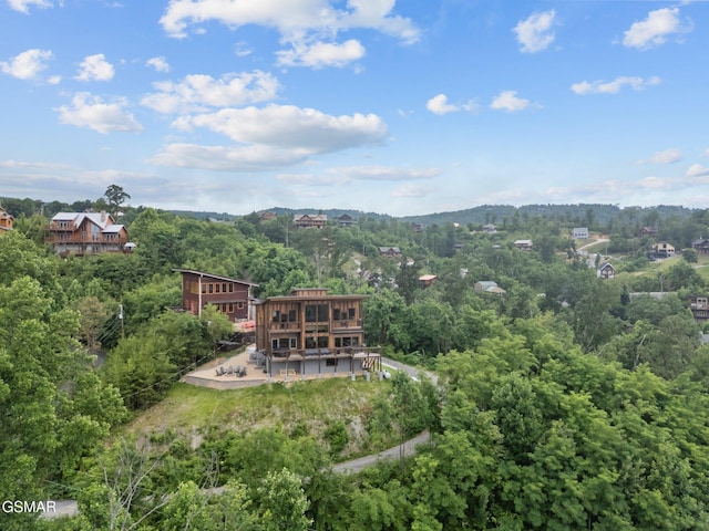 413 Red Hawk Way, Gatlinburg, TN 37738 - photo 52