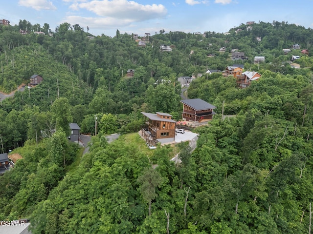 413 Red Hawk Way, Gatlinburg, TN 37738 - photo 53