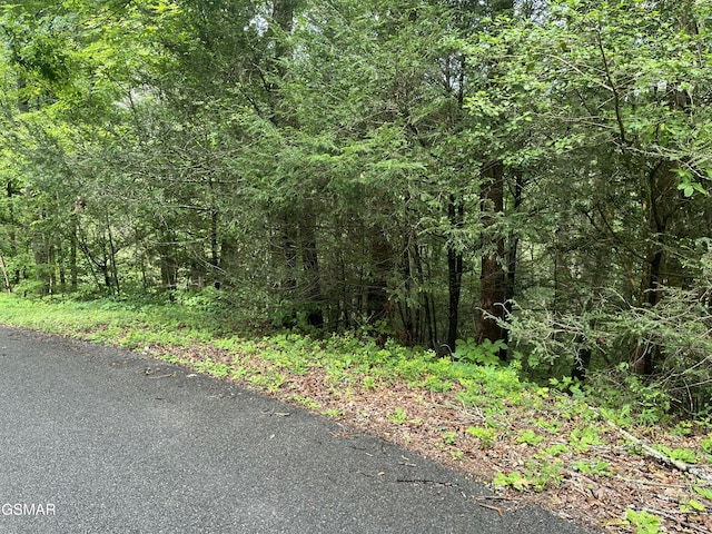 LOT22R Shady Grove Ct, Sevierville, TN 37876 - photo 7