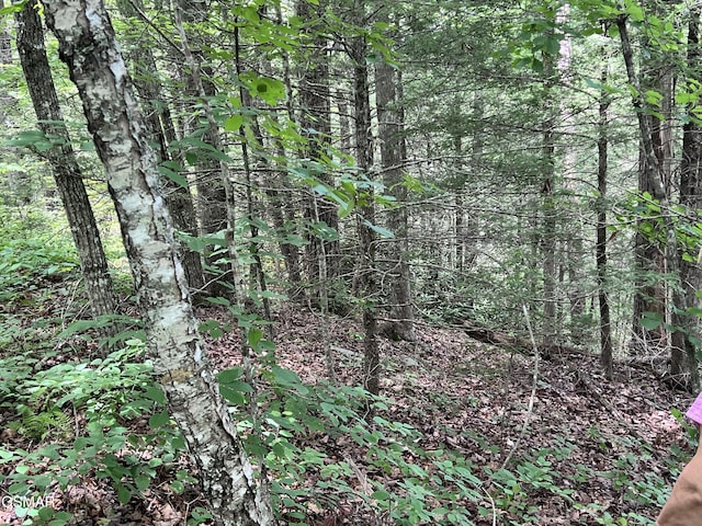 LOT22R Shady Grove Ct, Sevierville, TN 37876 - photo 11