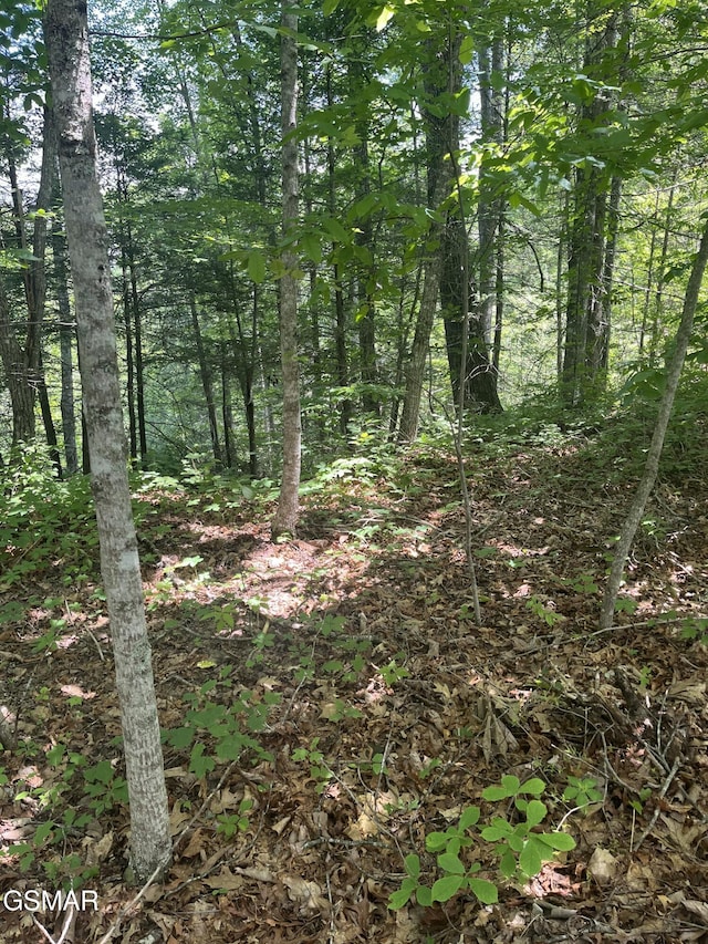 LOT22R Shady Grove Ct, Sevierville, TN 37876 - photo 17