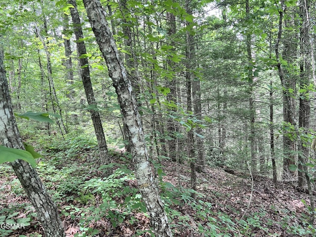 LOT22R Shady Grove Ct, Sevierville, TN 37876 - photo 12