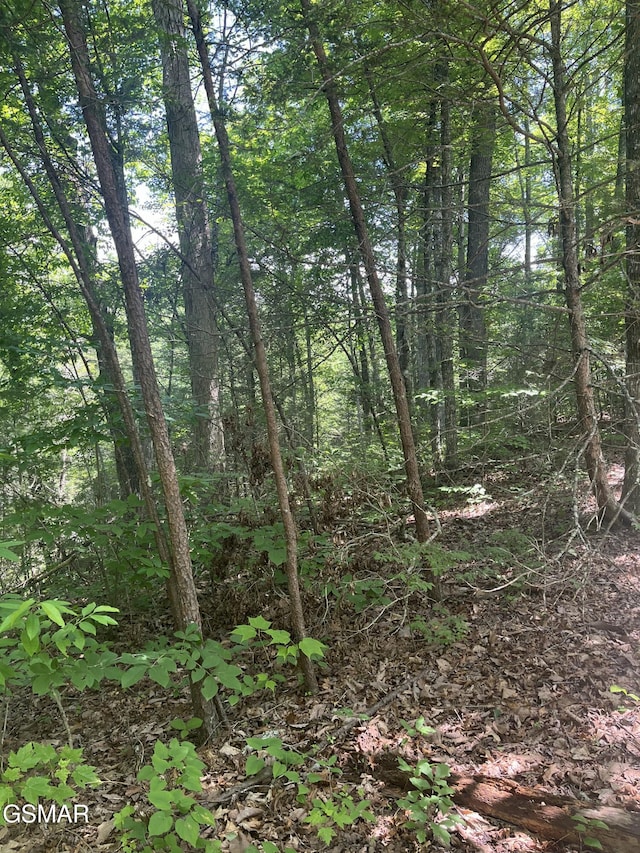 LOT22R Shady Grove Ct, Sevierville, TN 37876 - photo 13