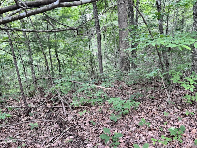 LOT22R Shady Grove Ct, Sevierville, TN 37876 - photo 8