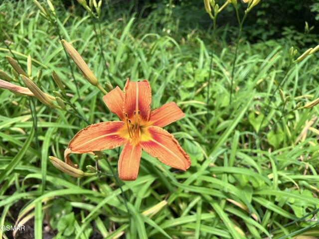 LOT22R Shady Grove Ct, Sevierville, TN 37876 - photo 18