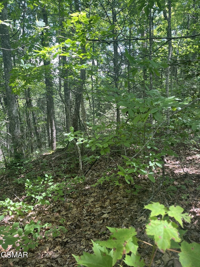 LOT22R Shady Grove Ct, Sevierville, TN 37876 - photo 14