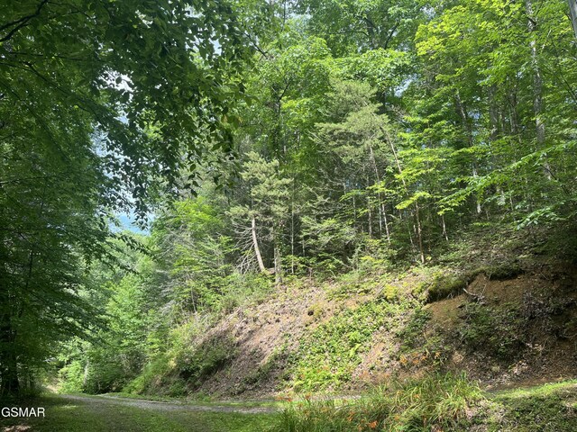 LOT22R Shady Grove Ct, Sevierville, TN 37876 - photo 21