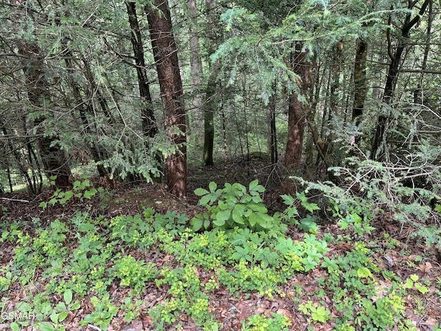 LOT22R Shady Grove Ct, Sevierville, TN 37876 - photo 16