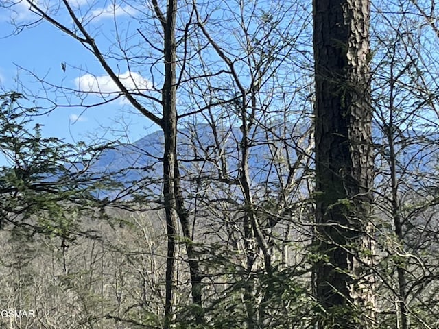 LOT22R Shady Grove Ct, Sevierville, TN 37876 - photo 4