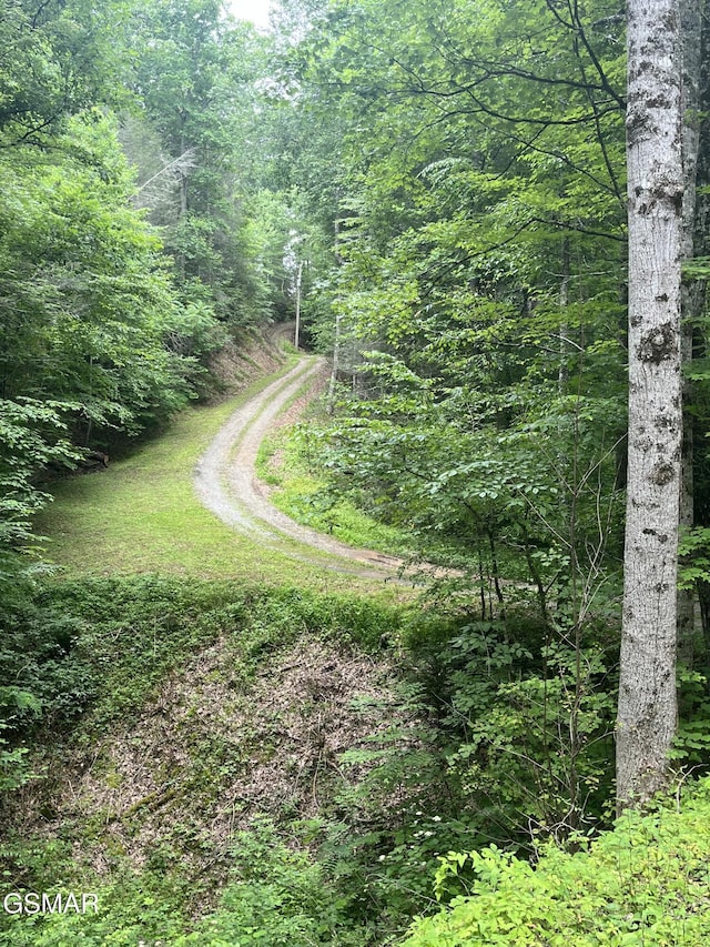 LOT22R Shady Grove Ct, Sevierville, TN 37876 - photo 3