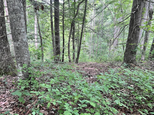 LOT22R Shady Grove Ct, Sevierville, TN 37876 - photo 10