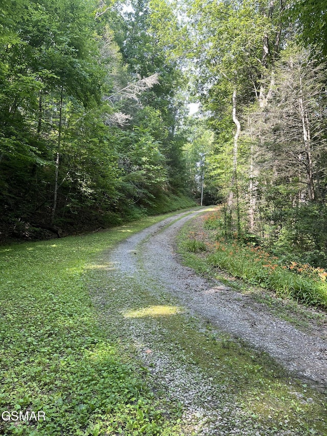 LOT22R Shady Grove Ct, Sevierville, TN 37876 - photo 2