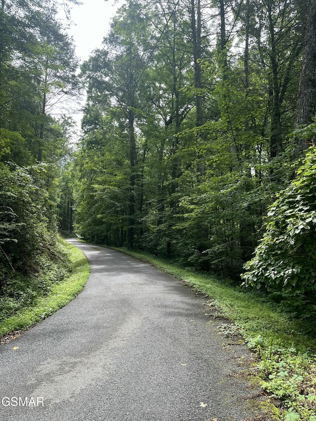 LOT22R Shady Grove Ct, Sevierville, TN 37876 - photo 6