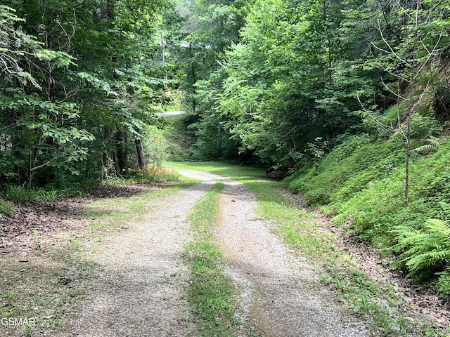 LOT22R Shady Grove Ct, Sevierville, TN 37876 - photo 1