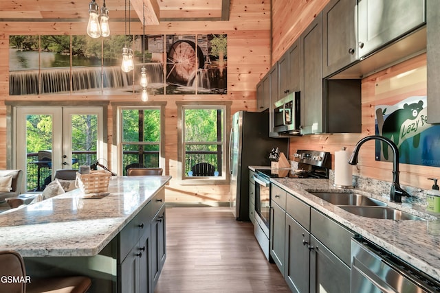1013 Silver Poplar Ln, Sevierville, TN 37876 - kitchen with stainless steel appliances, a sink, wood walls, plenty of natural light, and dark wood-style flooring