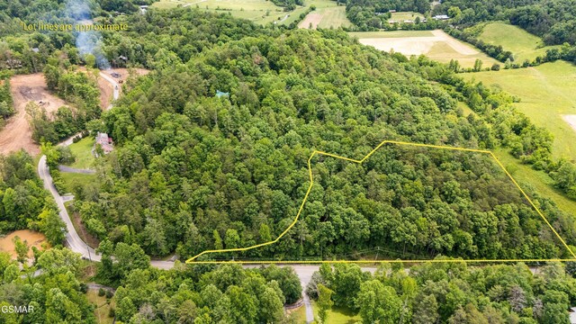 2537 Waldens Creek Rd, Sevierville, TN 37862 - photo 49