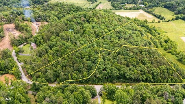 2537 Waldens Creek Rd, Sevierville, TN 37862 - view of green lawn featuring a wooden deck, a carport, an outbuilding, a view of trees, and stairs