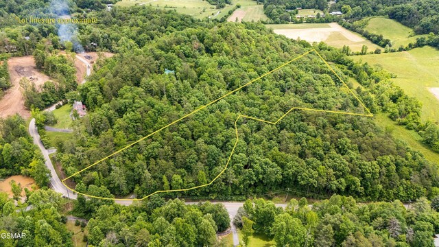 2537 Waldens Creek Rd, Sevierville, TN 37862 - photo 33