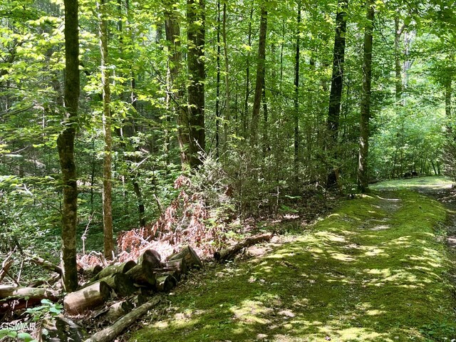 2537 Waldens Creek Rd, Sevierville, TN 37862 - photo 40