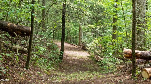 2537 Waldens Creek Rd, Sevierville, TN 37862 - photo 44