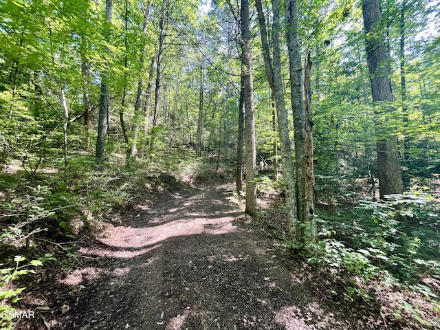 2537 Waldens Creek Rd, Sevierville, TN 37862 - view of woods