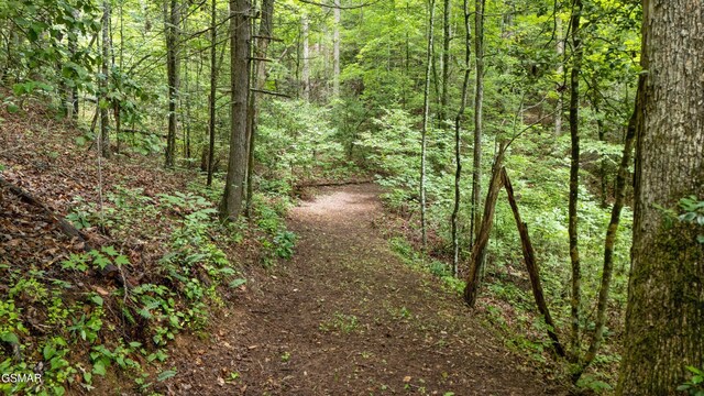 2537 Waldens Creek Rd, Sevierville, TN 37862 - photo 42
