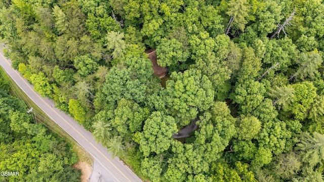 2537 Waldens Creek Rd, Sevierville, TN 37862 - view of property location