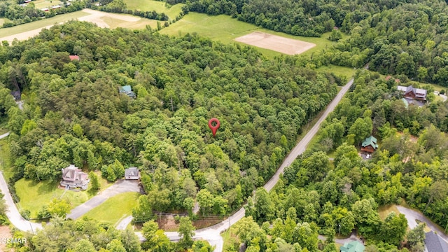 2537 Waldens Creek Rd, Sevierville, TN 37862 - view of property location with a forest