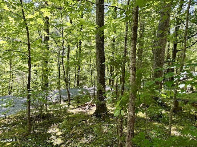 2537 Waldens Creek Rd, Sevierville, TN 37862 - view of undeveloped land