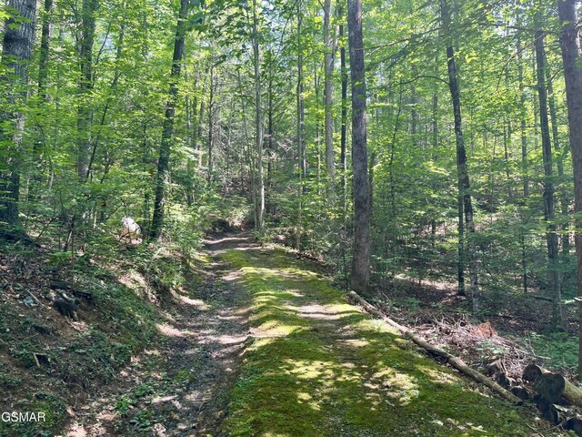 2537 Waldens Creek Rd, Sevierville, TN 37862 - photo 37