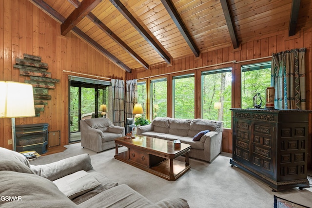 2537 Waldens Creek Rd, Sevierville, TN 37862 - living room with healthy amount of natural light, wooden walls, wooden ceiling, and carpet floors