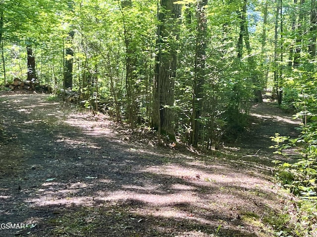 2537 Waldens Creek Rd, Sevierville, TN 37862 - view of nature