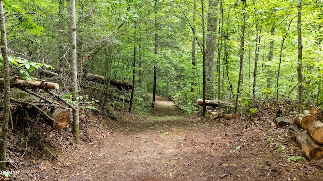 2537 Waldens Creek Rd, Sevierville, TN 37862 - photo 46