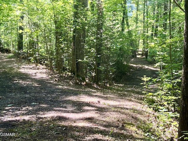 2537 Waldens Creek Rd, Sevierville, TN 37862 - view of local wilderness