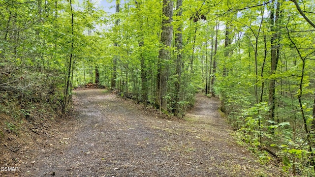 2537 Waldens Creek Rd, Sevierville, TN 37862 - photo 45