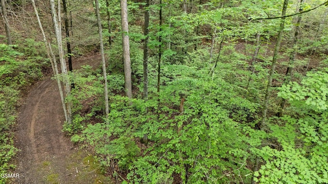 2537 Waldens Creek Rd, Sevierville, TN 37862 - photo 43